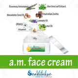 a.m. face cream (aka Skin Feast)